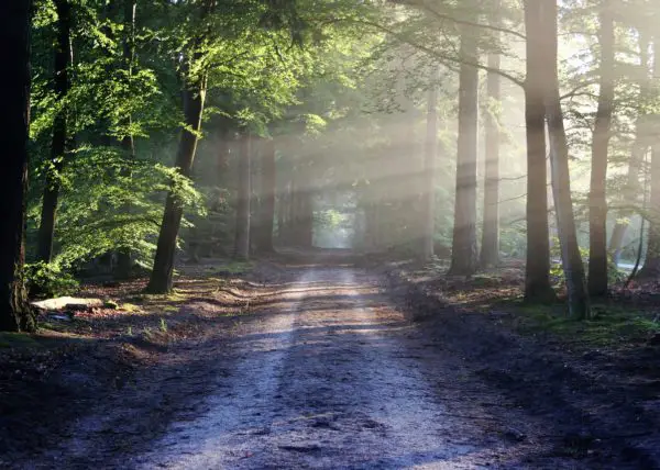 What Is the Secret Place of the Most High? 