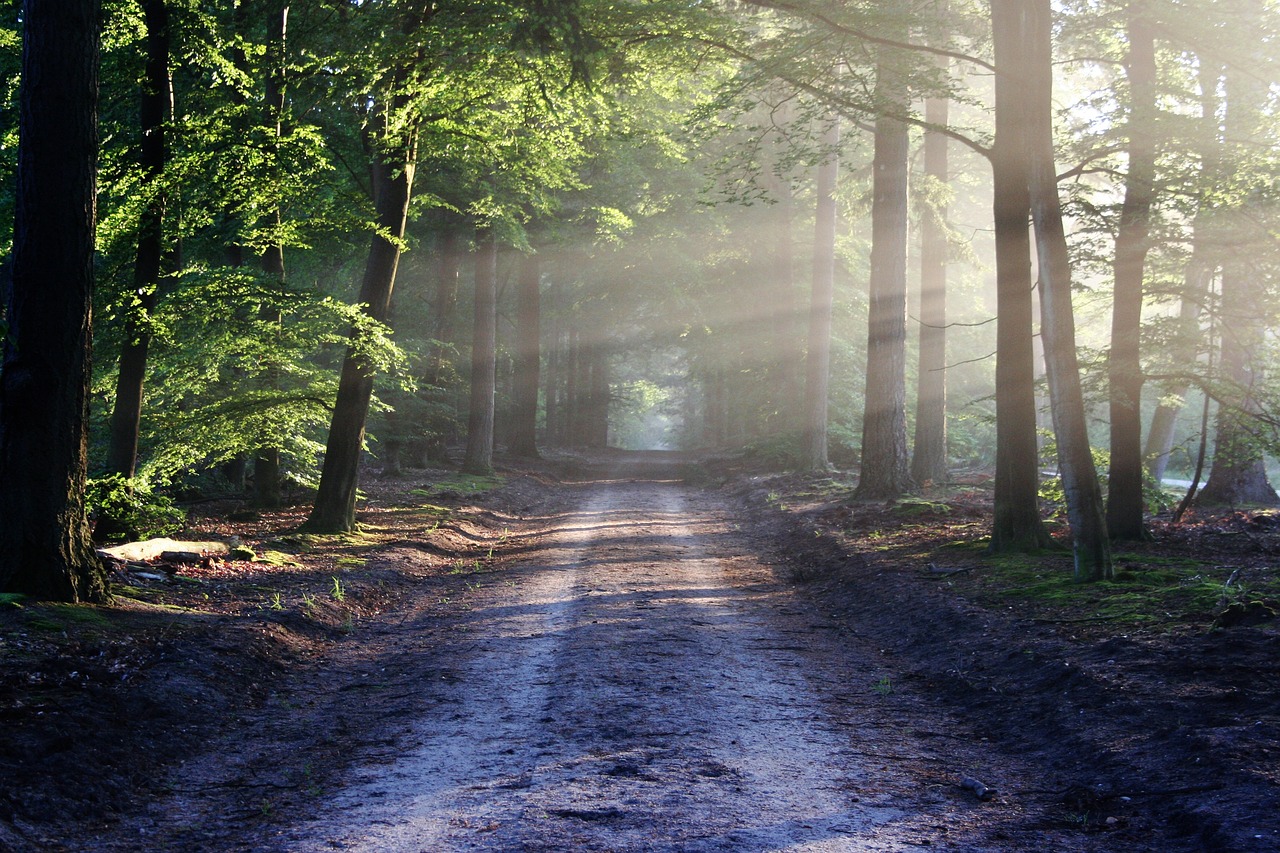 What Is the Secret Place of the Most High? 