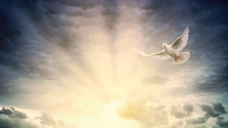 10 Reasons Why We Need The Holy Spirit img