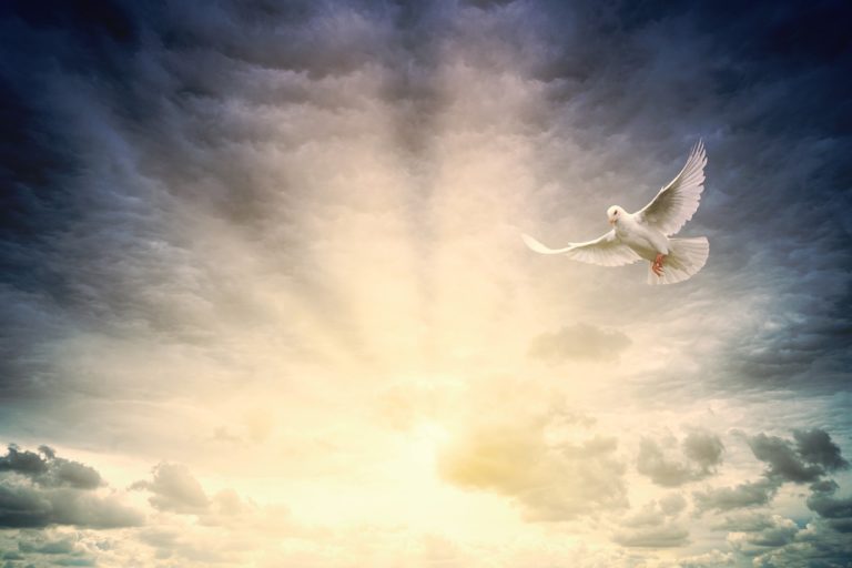 10 Reasons Why We Need The Holy Spirit img
