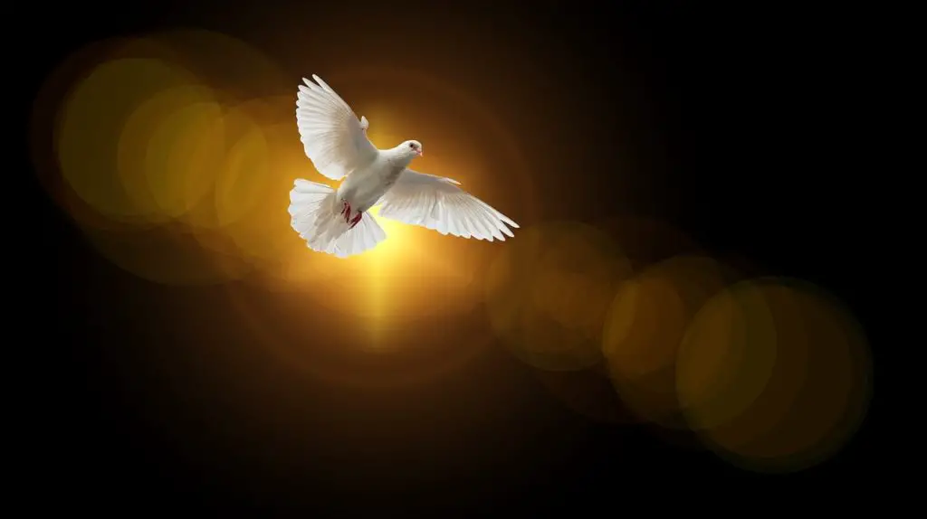 10 Reasons Why We Need The Holy Spirit 2 1 img