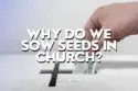image showing hand offering box Why Do We Sow Seeds In Church