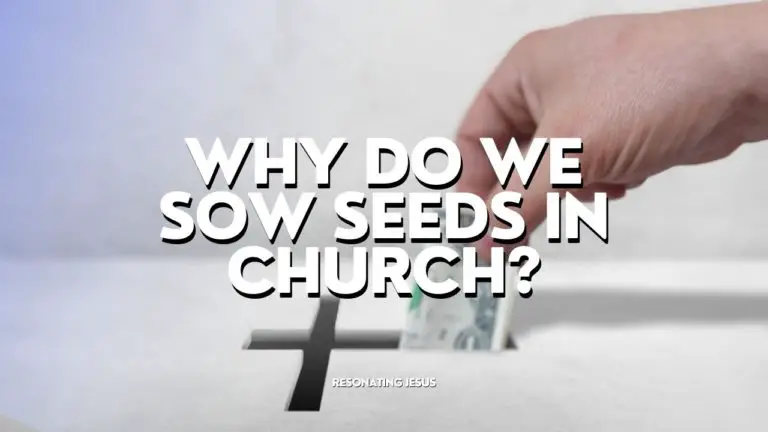 image showing hand offering box Why Do We Sow Seeds In Church